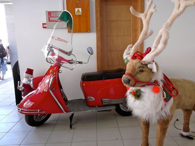 Wer hätte den nicht gern unterm Weihnachtsbaum ?