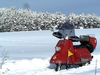 Mein Hannibal im Schnee, kompr..JPG