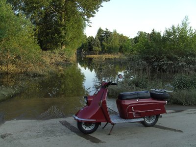 Der braune Rand an den Bäumen war mal der Wasserstand der Mulde . . .
