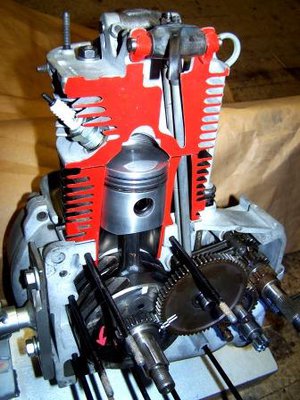 Schnittmodell kompr..JPG