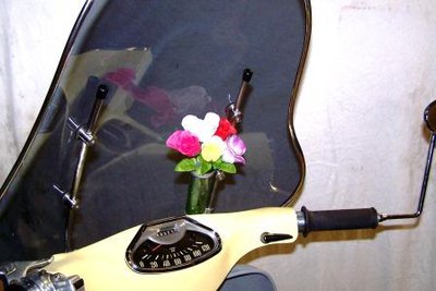 Blumenvase kompr..JPG