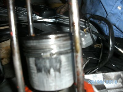 BILD0380 klein.jpg