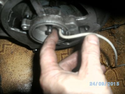 BILD1382.JPG