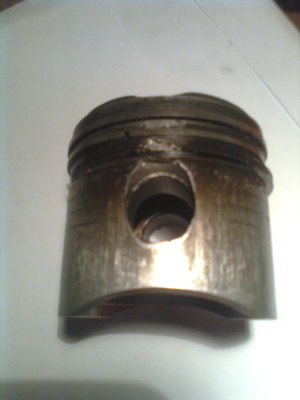 Bild0761.jpg