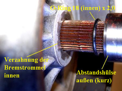 Hinterachsabdichtung O-Ring kompr..jpg