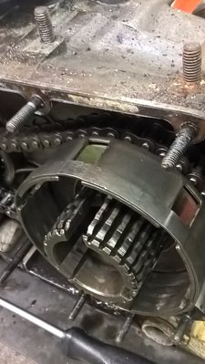 Kupplung verstärkt