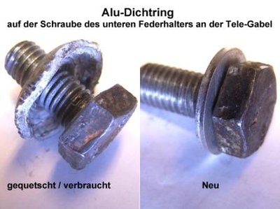 Telegabel Alu-Dichtring.jpg