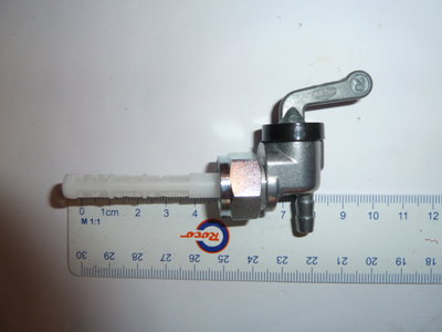 hahn 002.JPG