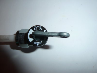 hahn 004.JPG