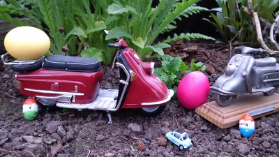 IMG_20170415_170318_1.jpg