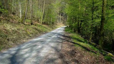 k-IMG_20170421_134735.jpg