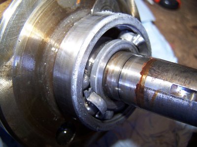 Ölmangel,     Käfig zerstört .JPG