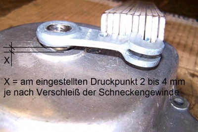 KULU-Schnecke 2.JPG