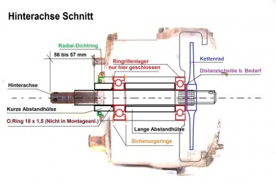 Schnitt Hinterachse .JPG