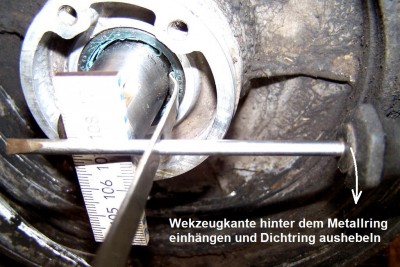 07.JPG