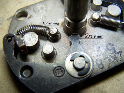 SIBA Fliehgewicht101_6422.JPG