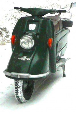 Conti im Schnee.jpg