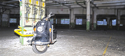 Ratte2.jpg