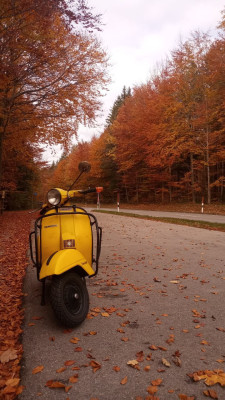 fesbah_herbst1.jpg