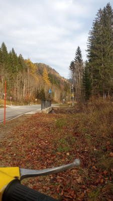fesbah_herbst2.jpg