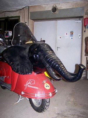 Elefant 1 kompr..JPG