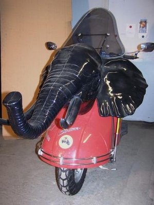 Elefant 3 kompr..JPG
