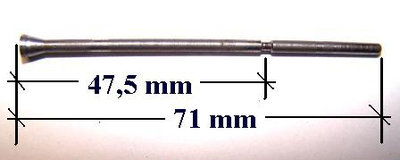 Schwimmernadel barb, kompr.o.k.jpg