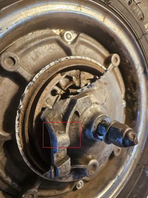 Ankerplatte Forum x.jpg